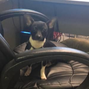 Meet your Posher, Doris